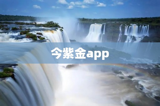 今紫金app:投资理财新选择 今紫金app:投资理财新选择
