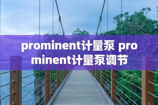 prominent计量泵 prominent计量泵调节