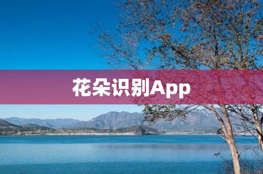 花朵识别App:让你轻松辨识花卉的神奇工具 花朵识别App:让你轻松辨识花卉的神奇工具
