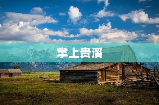 掌上贵溪:畅享智慧生活的新时代 掌上贵溪:畅享智慧生活的新时代