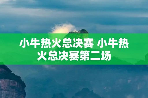 小牛热火总决赛 小牛热火总决赛第二场 小牛热火总决赛 小牛热火总决赛第二场