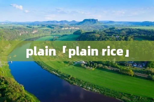plain「plain rice」 plain「plain rice」
