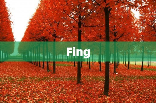 Fing：一款全方位网络管理利器