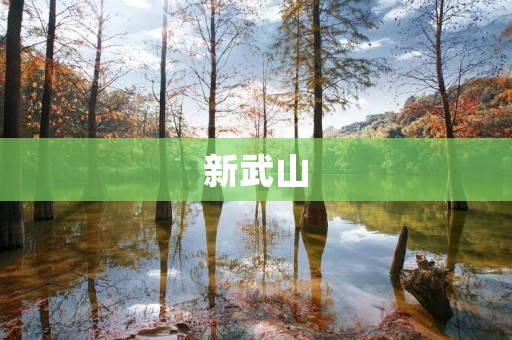 新武山：探寻历史与自然的宝藏