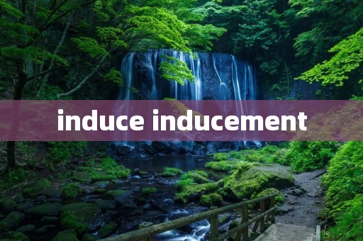 induce inducement