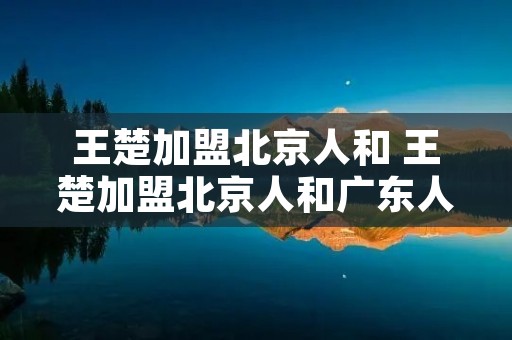 王楚加盟北京人和 王楚加盟北京人和广东人