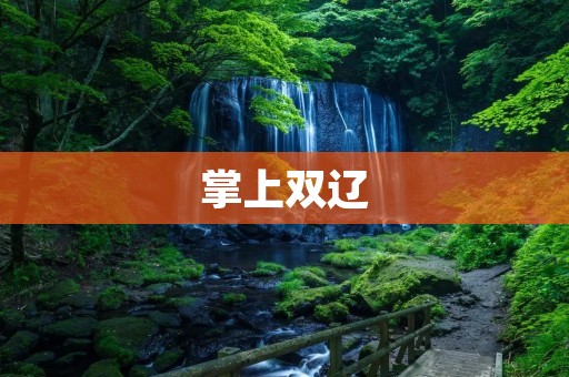 掌上双辽：探索辽宁省的全新旅游方式