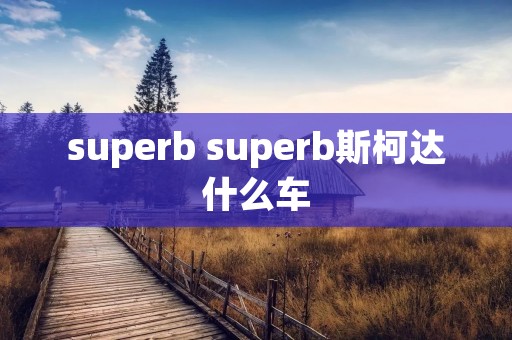 superb superb斯柯达什么车