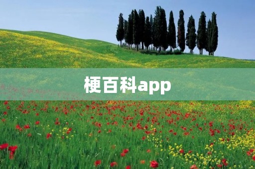 梗百科app:解读网络梗的神奇工具 梗百科app:解读网络梗的神奇工具