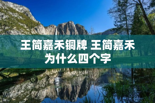 王简嘉禾铜牌 王简嘉禾为什么四个字 王简嘉禾铜牌 王简嘉禾为什么四个字