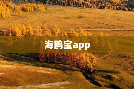 海鸥宝app：让旅行更便捷的旅行助手