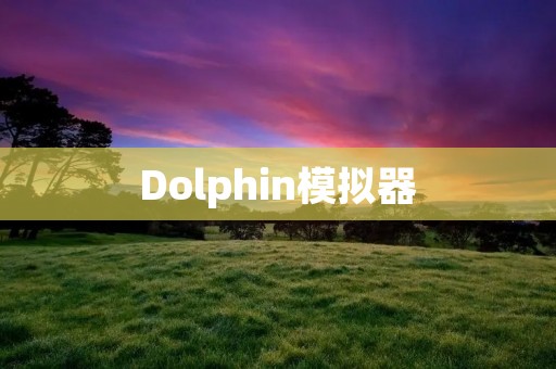 Dolphin模拟器：让你的游戏体验更加完美