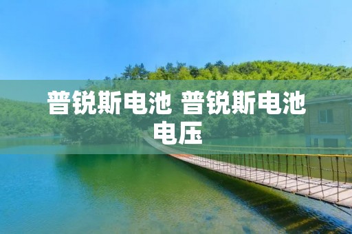 普锐斯电池 普锐斯电池电压