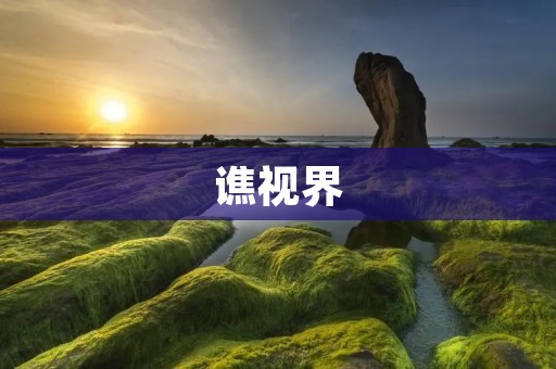 谯视界：探索无限视界的奇妙旅程