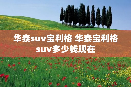 华泰suv宝利格 华泰宝利格suv多少钱现在 华泰suv宝利格 华泰宝利格suv多少钱现在