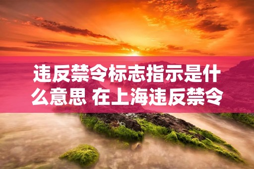 违反禁令标志指示是什么意思 在上海违反禁令标志指示是什么意思