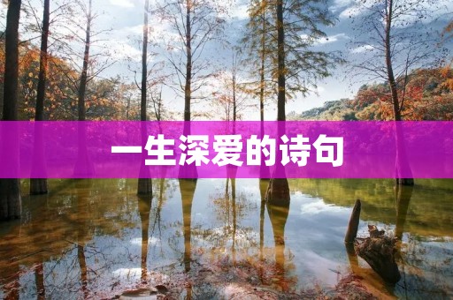 一生深爱的诗句