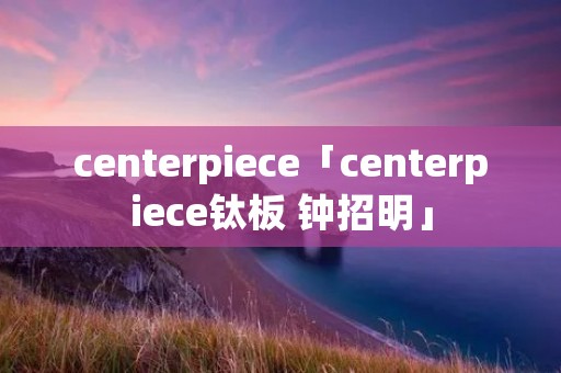 centerpiece「centerpiece钛板 钟招明」