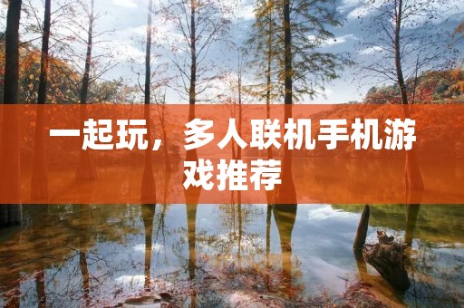 一起玩,多人联机手机游戏推荐