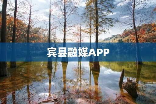 宾县融媒APP:连接你与宾县的全新体验 宾县融媒APP:连接你与宾县的全新体验