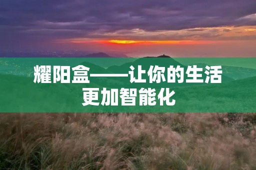 耀阳盒——让你的生活更加智能化