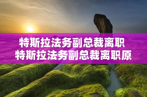 特斯拉法务副总裁离职 特斯拉法务副总裁离职原因