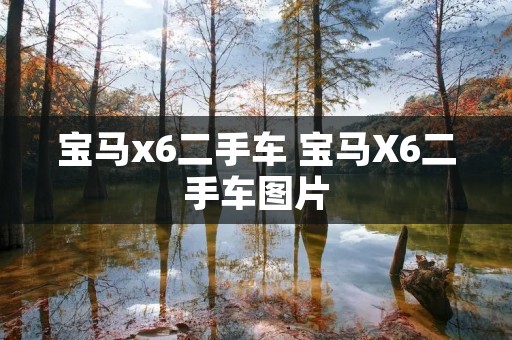 宝马x6二手车 宝马X6二手车图片 宝马x6二手车 宝马X6二手车图片