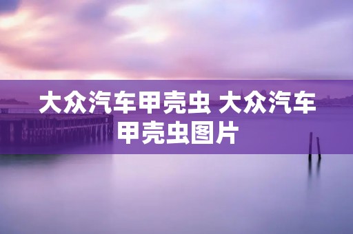 大众汽车甲壳虫 大众汽车甲壳虫图片 大众汽车甲壳虫 大众汽车甲壳虫图片