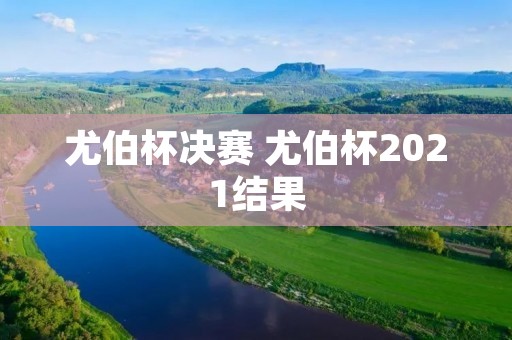 尤伯杯决赛 尤伯杯2021结果