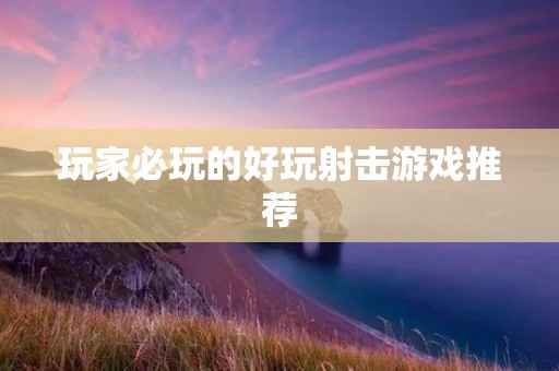 玩家必玩的好玩射击游戏推荐