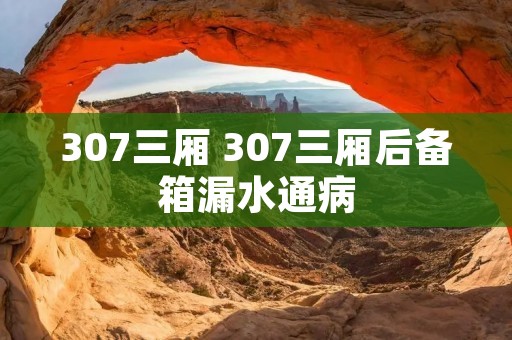 307三厢 307三厢后备箱漏水通病 307三厢 307三厢后备箱漏水通病