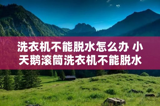 洗衣机不能脱水怎么办 小天鹅滚筒洗衣机不能脱水怎么办 洗衣机不能脱水怎么办 小天鹅滚筒洗衣机不能脱水怎么办