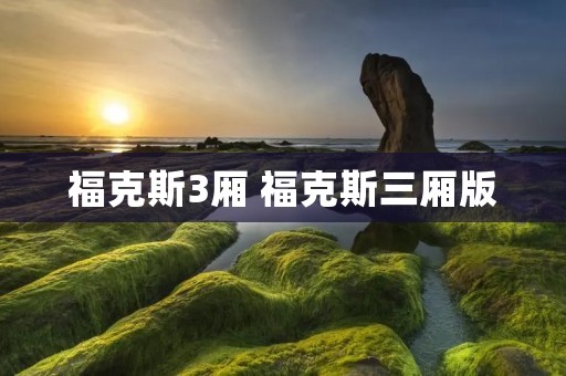 福克斯3厢 福克斯三厢版