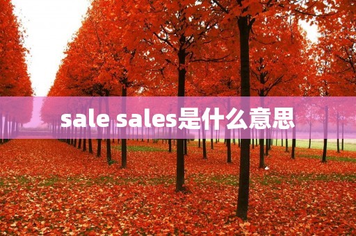 sale sales是什么意思