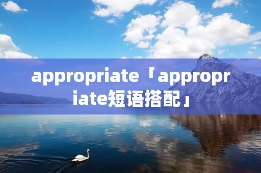 appropriate「appropriate短语搭配」