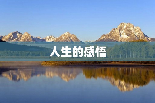人生的感悟：一句话精辟道出我们存在的意义
