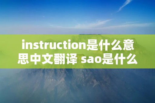 instruction是什么意思中文翻译 sao是什么意思中文翻译
