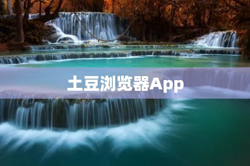 土豆浏览器App：高效便捷的上网利器