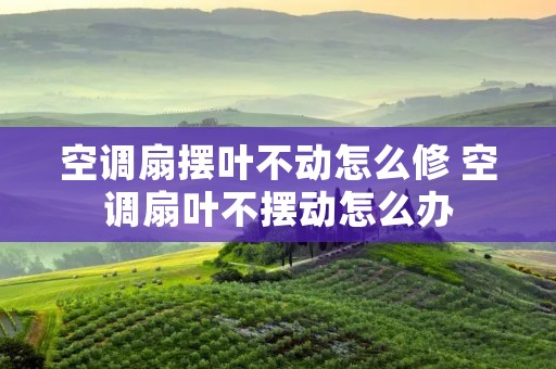 空调扇摆叶不动怎么修 空调扇叶不摆动怎么办 空调扇摆叶不动怎么修 空调扇叶不摆动怎么办