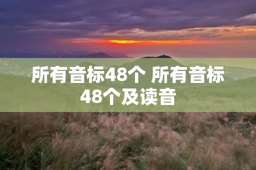所有音标48个 所有音标48个及读音