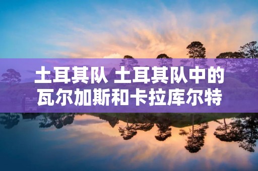 土耳其队 土耳其队中的瓦尔加斯和卡拉库尔特 土耳其队 土耳其队中的瓦尔加斯和卡拉库尔特