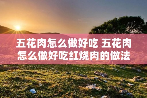 五花肉怎么做好吃 五花肉怎么做好吃红烧肉的做法 五花肉怎么做好吃 五花肉怎么做好吃红烧肉的做法
