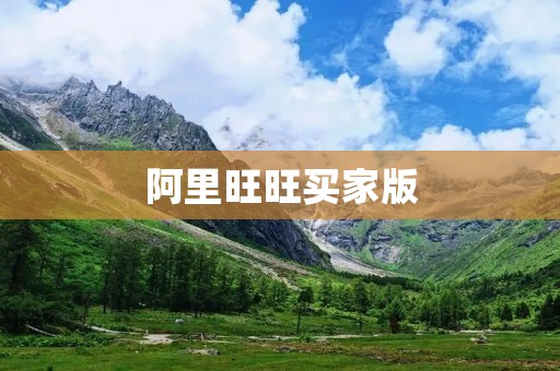 阿里旺旺买家版:让购物更便捷的必备工具 阿里旺旺买家版:让购物更便捷的必备工具