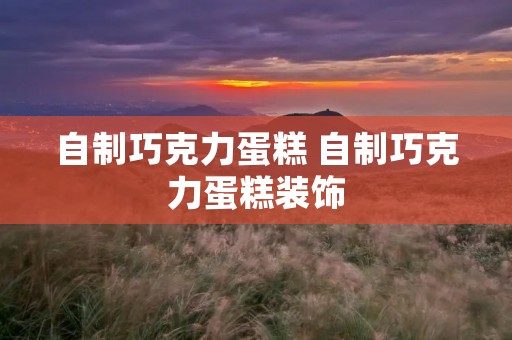 自制巧克力蛋糕 自制巧克力蛋糕装饰