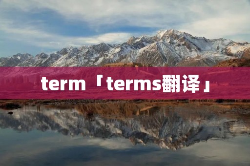 term「terms翻译」
