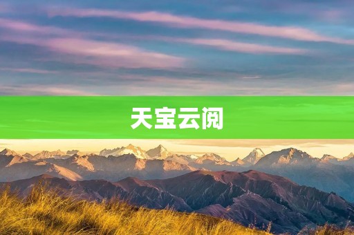 天宝云阅：解锁知识的智慧平台