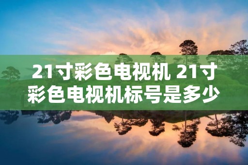 21寸彩色电视机 21寸彩色电视机标号是多少呢 21寸彩色电视机 21寸彩色电视机标号是多少呢
