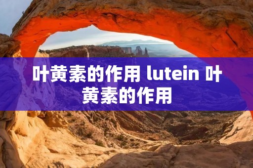 叶黄素的作用 lutein 叶黄素的作用