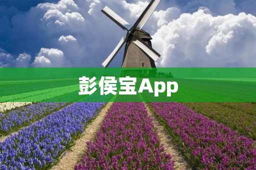 彭侯宝App:领先的财富管理工具 彭侯宝App:领先的财富管理工具