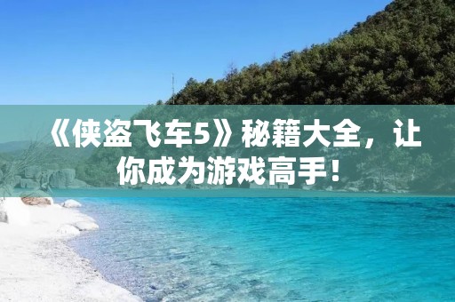 《侠盗飞车5》秘籍大全,让你成为游戏高手!